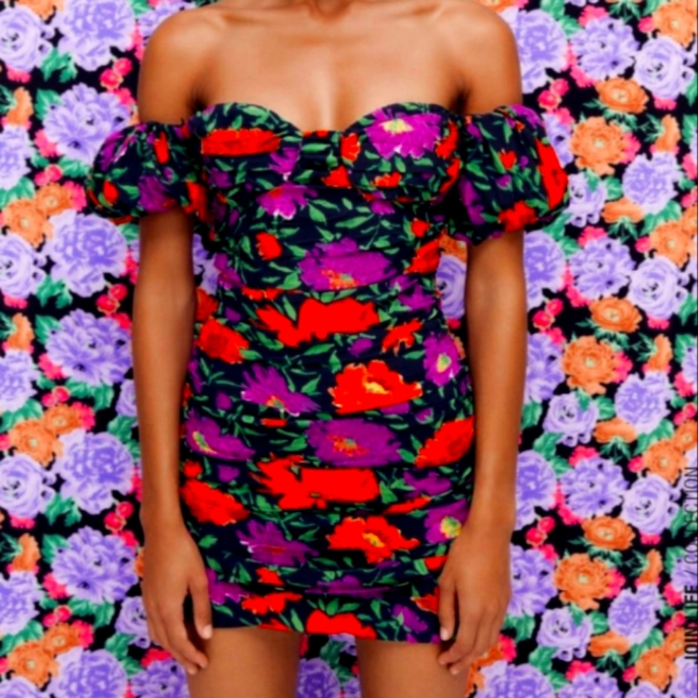 NWT Zara Floral print dress